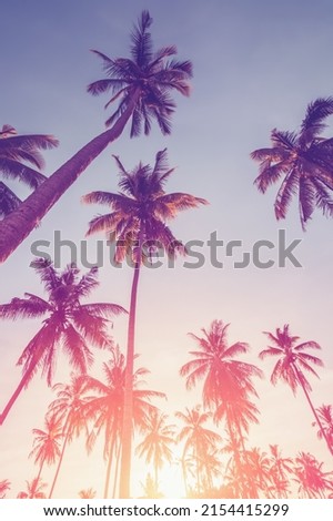 Tropical palm tree with sun light on sunset sky and cloud abstract background. Summer vacation and nature travel adventure concept. Vintage tone filter effect color style.