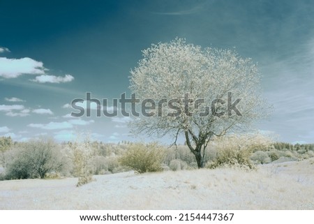 infrared photography - ir photo of landscape under sky with clouds - the art of our world in the infrared spectrum