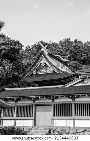 Viewed from a road, a vertical black and white photo of the famous, ancient Hinosaki Shinto Shrine near Izumo, Japan.
