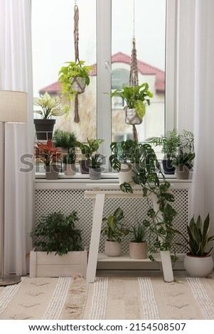 Cozy room interior with stylish furniture and beautiful houseplants near window Royalty-Free Stock Photo #2154508507