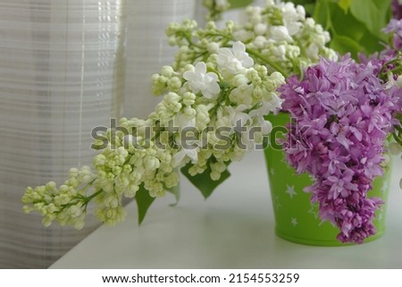 Lilac white and lilac curtains background. Selective focus.
