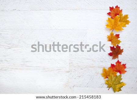 Thanksgiving Autumn Leaves Background 