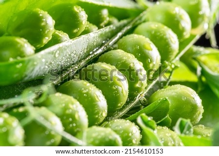 Perfect green peas in pea pod covered with water drops. Macro shot. Royalty-Free Stock Photo #2154610153