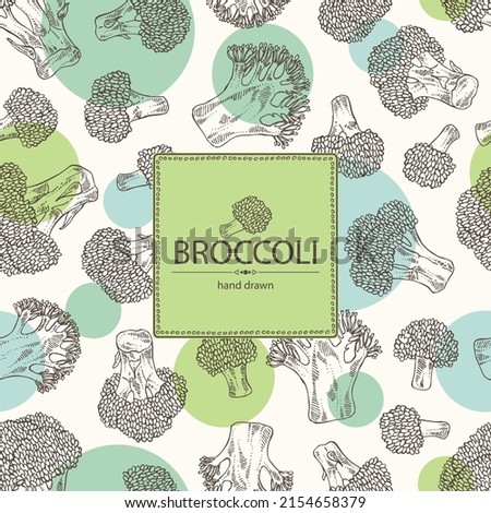 Background with broccoli: full broccoli, piece and broccoli inflorescence. Vector hand drawn illustration.  Royalty-Free Stock Photo #2154658379