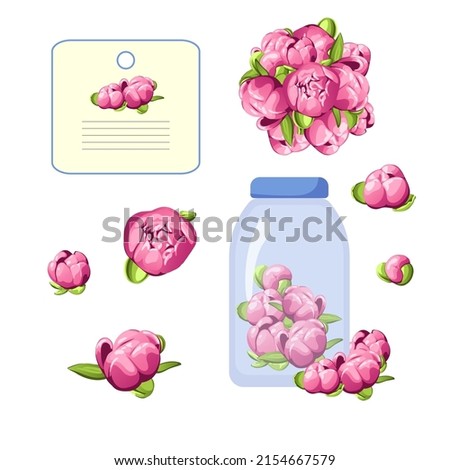 Vector set of illustrations with pink flowers, bottle and invitation