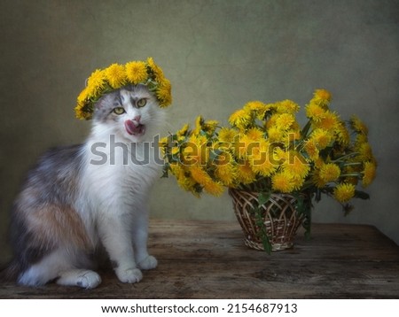Still life with bouquet of dandelions and cat in wreath