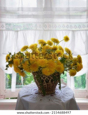 Still life with bouquet of dandelion flowers on  window background