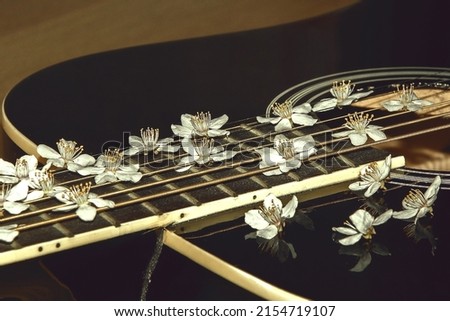 Beautiful flowers on the guitar. Black guitar with white flowers. Music instrument