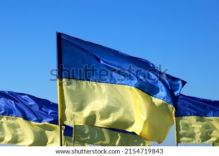 Many state flags of Ukraine are flying in wind. Concept of heroic struggle of Ukrainian people against  Russian war.