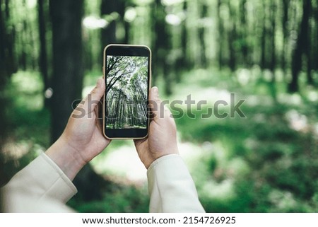 Phone in hand with a photo of the forest.
