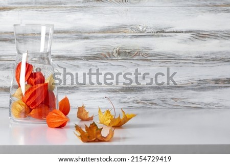 Autumn background. Dry plant in glass vase on gray vintage wall background. Fall decor, concept, front view