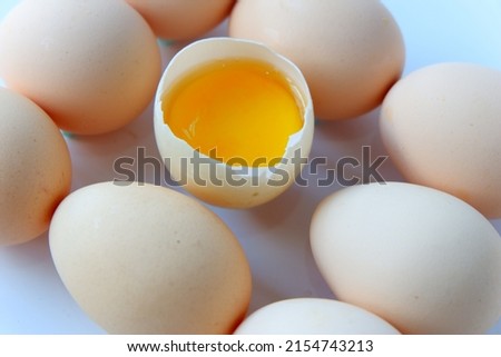 an egg in selective focus 