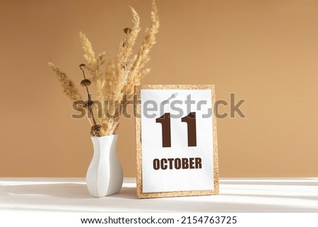 october 11. 11th day of month, calendar date.White vase with dried flowers on desktop in rays of sunlight on white-beige background. Concept of day of year, time planner, autumn month