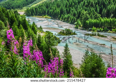 Swiss Alps-river Inn and Pontresina Royalty-Free Stock Photo #215478427