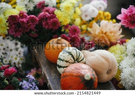 Stylish pumpkins among beautiful autumn flowers on rustic wooden background. Hello fall. Happy Thanksgiving! Orange and yellow squashes among colorful asters and dahlias. Moody image