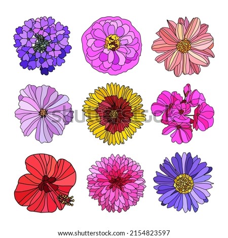 Decorativeflowers set, design elements. Can be used for cards, invitations, banners, posters, print design. Floral background in line art style