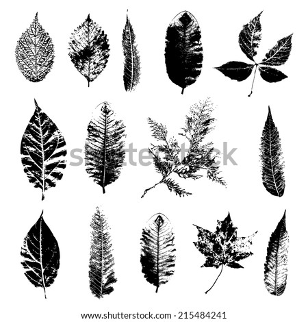 Leaf silhouette collection, foliage set, vector