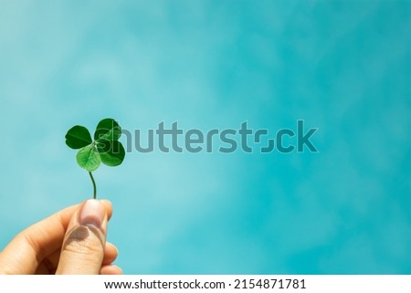 Four-Leaf Clover with blue sky background. Symbol of good luck. Royalty-Free Stock Photo #2154871781