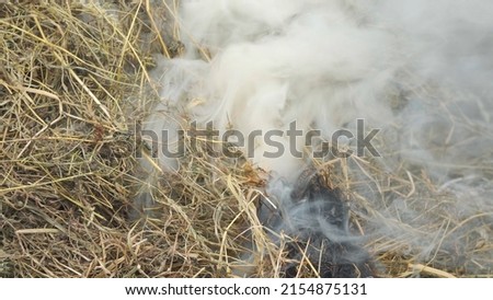 White smoke rises from a stack of dry grass. The start of a fire. Smoke without fire. Fire hazard.