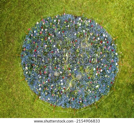 Aerial top view from above on colorful flowerbed circle in public park Royalty-Free Stock Photo #2154906833