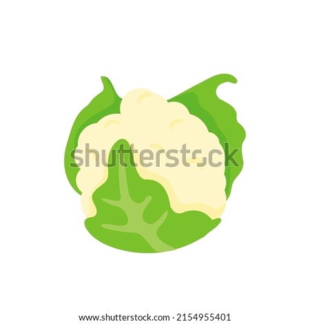 Cauliflower vector. Vegetables for healthy cooking Royalty-Free Stock Photo #2154955401