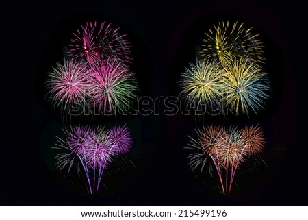Colorful firework in a night sky
