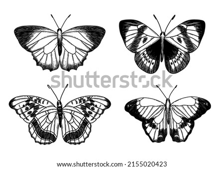 
Vector set of butterflies. Black silhouette of butterflies hand-drawn on a white background.