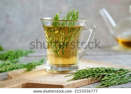 Fresh horsetail or Equisetum tea in a cup Royalty-Free Stock Photo #2155036777