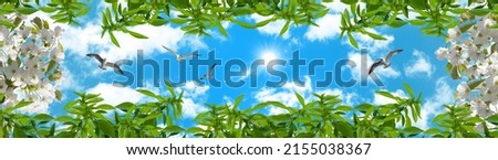 Seagulls flying in panoramic blue sky, white spring flowers and green trees leaves. bottom-up sky view. 3d ceiling decoration picture