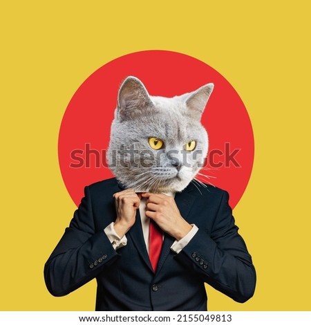 Portrait  business man with an animal face on a yellow red background. Smart serious cat. Collage in magazine style. human characters through animals. Contemporary collage, art, creative idea Royalty-Free Stock Photo #2155049813
