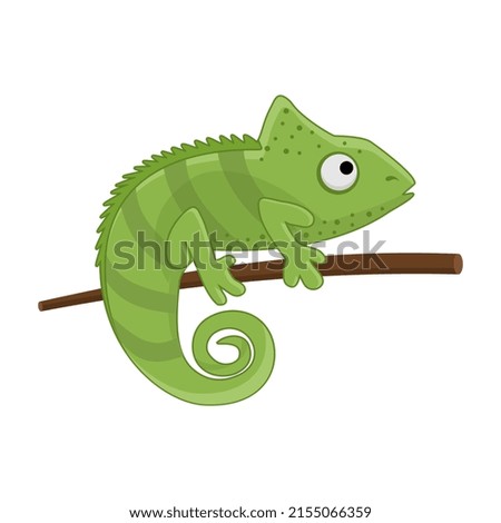 Chameleon cartoon vector art and illustration
