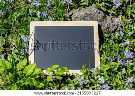 An empty chalkboard (blackboard) with wooden frame, on green grass with herbs and flowers, to write your message on - stock photography