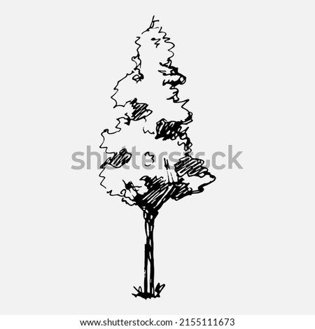 Hand drawn tree. Vector isolated illustration.