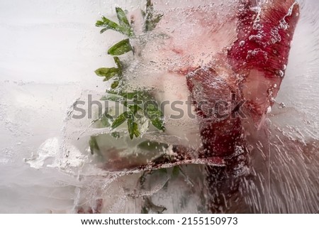 Transparent white ice with flowers frozen in it. The photo is perfect for backgrounds, screensavers and a variety of advertising purposes. Including for the cosmetics business.