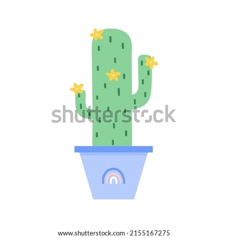 Colorful cactus plant with flowers in colored pots