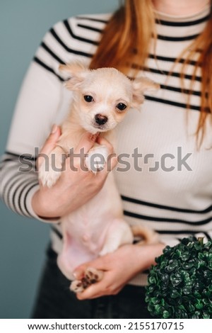 a girl holds and hugs a puppy in her hands on a plain background