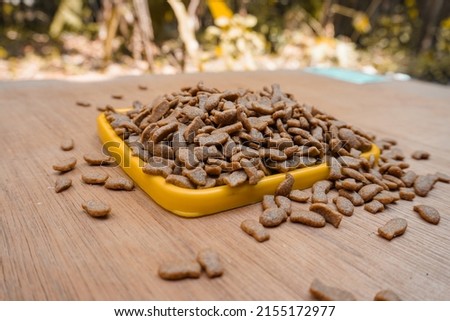 Dry cat food in a bowl