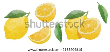 Set of Lemon fruit Design elements. watercolour style vector illustration. Royalty-Free Stock Photo #2155204815