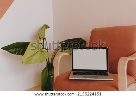 Laptop computer with blank screen on chair and elegant tropical plant leaves in bottle against white wall. Aesthetic influencer minimalist styled workspace interior design template with copy space
