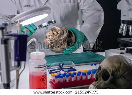 Forensic scientist examines human skull of adult male homocide victim to extract DNA, forensic laboratory, conceptual image Royalty-Free Stock Photo #2155249975