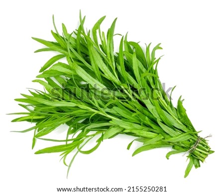 Bunch of tarragon isolated on a white background. Royalty-Free Stock Photo #2155250281