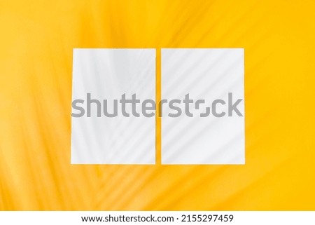 Two blank paper sheets and palm leaf shadow on color background