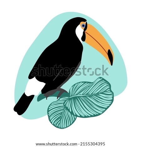 Summer card with toucan and calathea leaves on abstract spot background, tropical exotic bird with big beak and green jungle leaves vector illustration Royalty-Free Stock Photo #2155304395