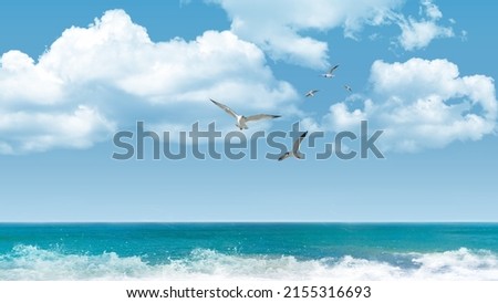Seagulls flying in tropical colorful blue sky, turquoise color sea and fluffy clouds. beautiful ocean view Royalty-Free Stock Photo #2155316693