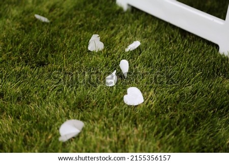 Wedding pictures background, Heart shaped confetti on the lawn