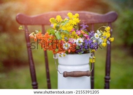 bouquet of spring, field flowers in a rustic atmosphere in a milk jug on an old chair in the garden in the sunshine, rural atmosphere Royalty-Free Stock Photo #2155391205