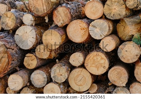 Background, sawn pine trees,timber harvesting Royalty-Free Stock Photo #2155420361