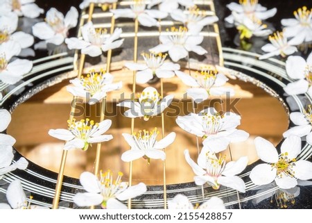 Flower on taut musical strings. Guitar strings up close. Flowers in detail