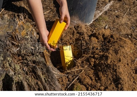 a man's hands take out a treasure in the form of a gold ingot from a hole in the ground. background picture. search for treasure.