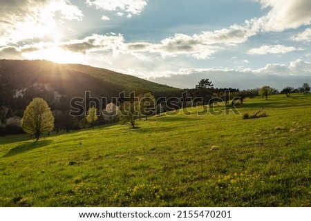 Peaceful scenery of green meadow with blooming trees on spring - sunset time. Beautiful green park (field) with blue cloudy sky on sunset - horizontal photo.